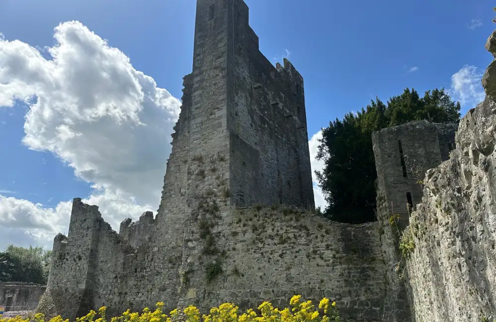 Desmond Castle Grid